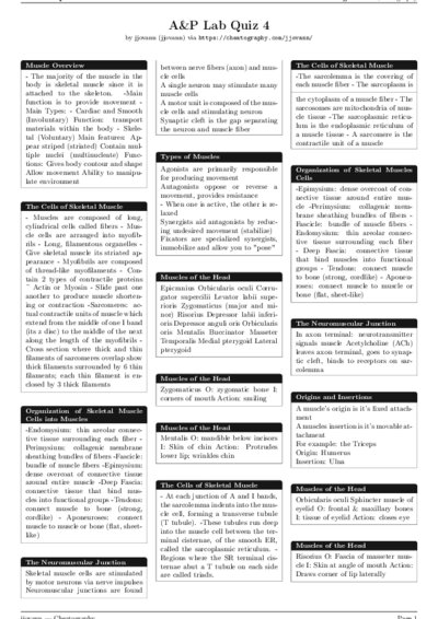 LaTeX (Compiled PDF)