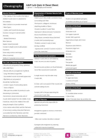 PDF (Colour) — Style 1