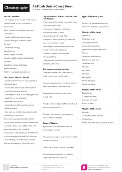 PDF (Colour) — Style 2
