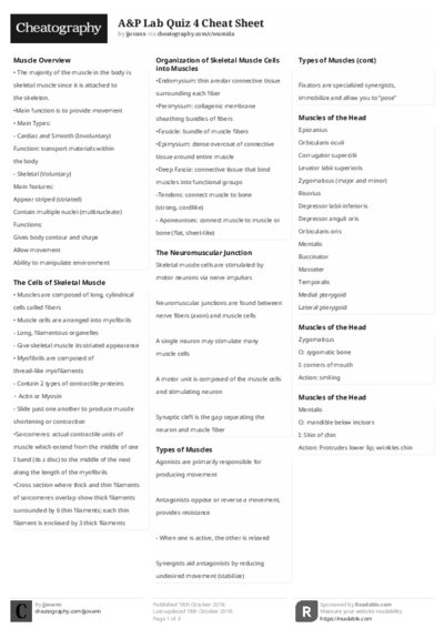 PDF (Black & white) — Style 2