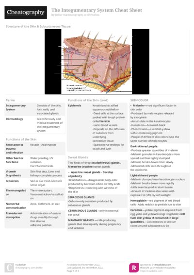 The Integumentary System Cheat Sheet