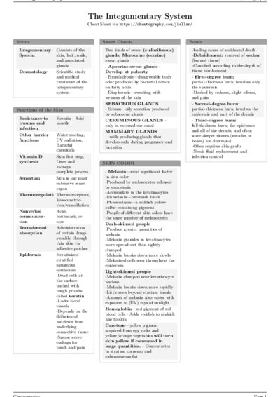 LaTeX (Compiled PDF)