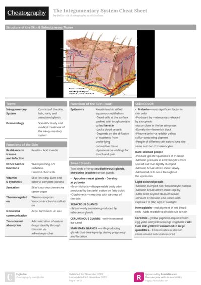 PDF (Colour) — Style 1