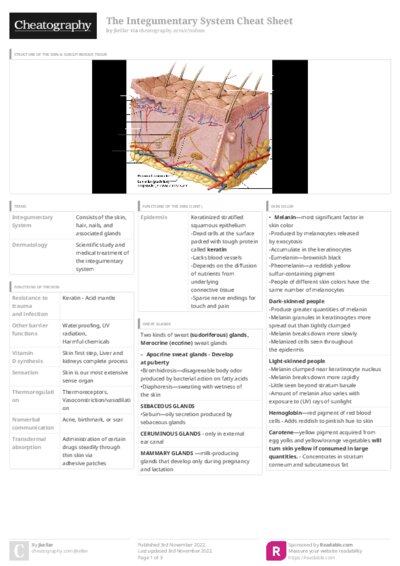 PDF (Colour) — Style 3