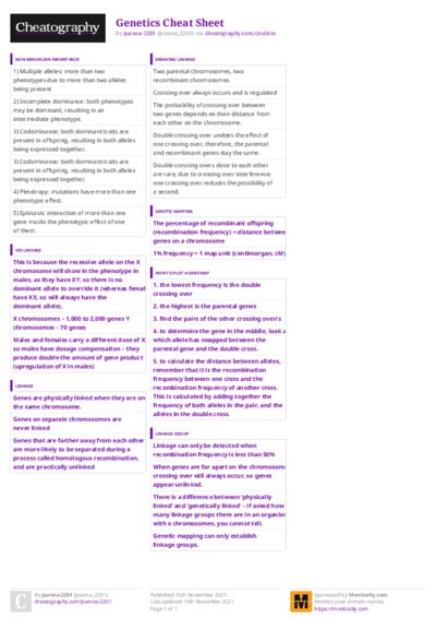 PDF (Colour) — Style 3