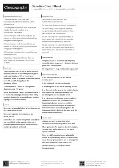 PDF (Black & white) — Style 3