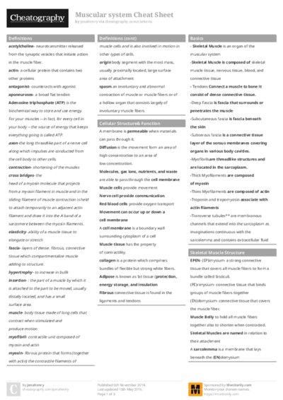 Muscular system Cheat Sheet