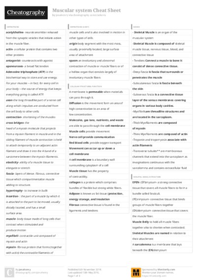 PDF (Colour) — Style 3