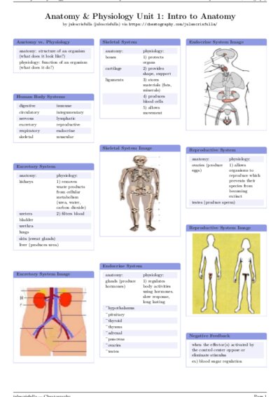 LaTeX (Compiled PDF)