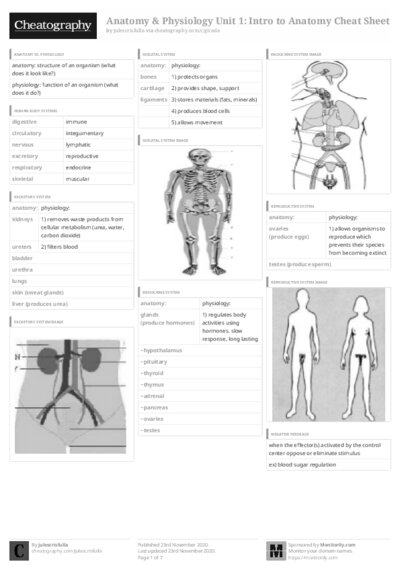 PDF (Black & white) — Style 3