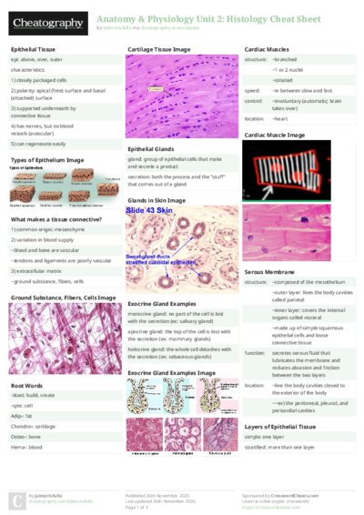 Anatomy & Physiology Unit 2: Histology Cheat Sheet
