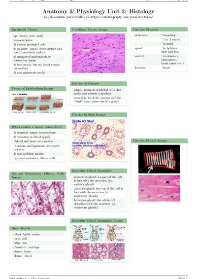 LaTeX (Compiled PDF)
