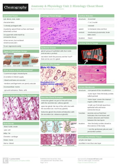 PDF (Colour) — Style 1