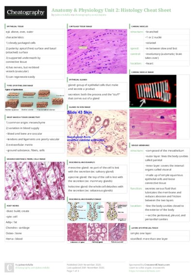 PDF (Colour) — Style 3