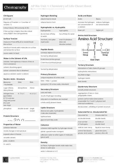 PDF (Black & white) — Style 2