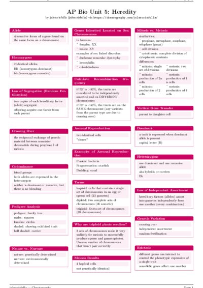 LaTeX (Compiled PDF)