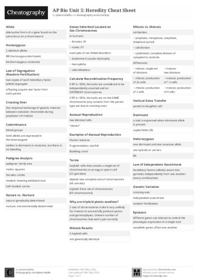 PDF (Black & white) — Style 2