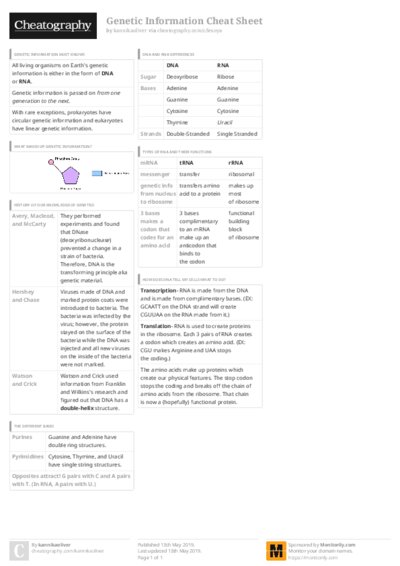 PDF (Colour) — Style 3