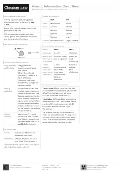 PDF (Black & white) — Style 3