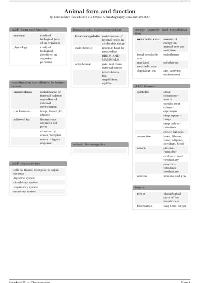 LaTeX (Compiled PDF)