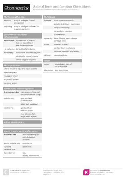 PDF (Colour) — Style 1