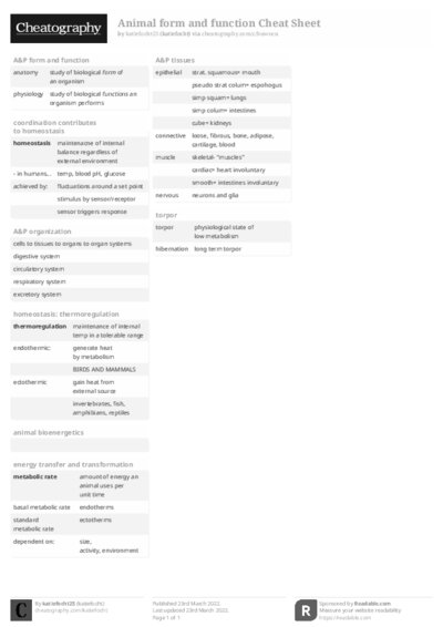 PDF (Black & white) — Style 2