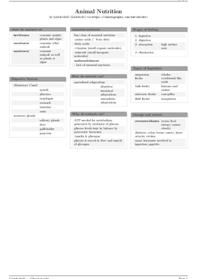 LaTeX (Compiled PDF)