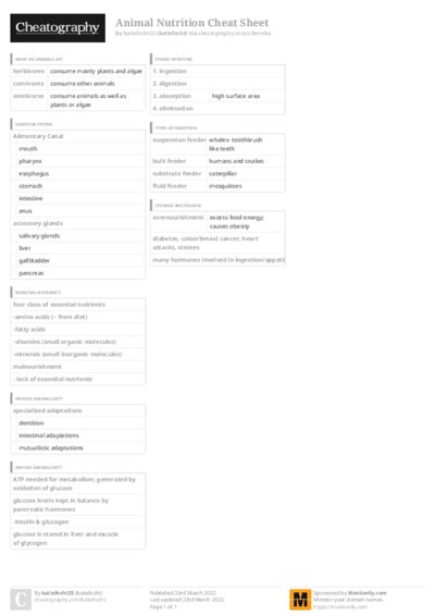 PDF (Colour) — Style 3