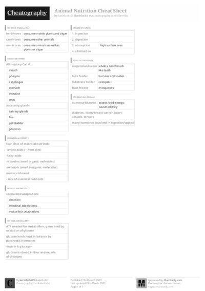 PDF (Black & white) — Style 3