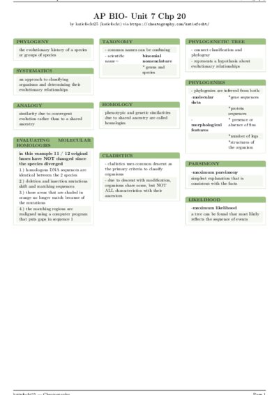 LaTeX (Compiled PDF)
