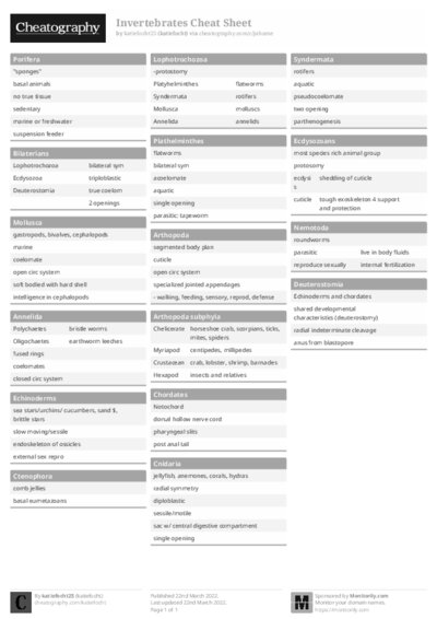 PDF (Black & white) — Style 1