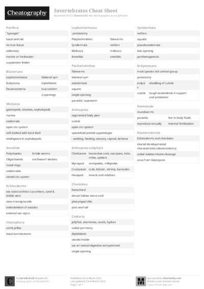 PDF (Black & white) — Style 2