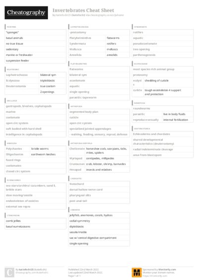 PDF (Colour) — Style 3