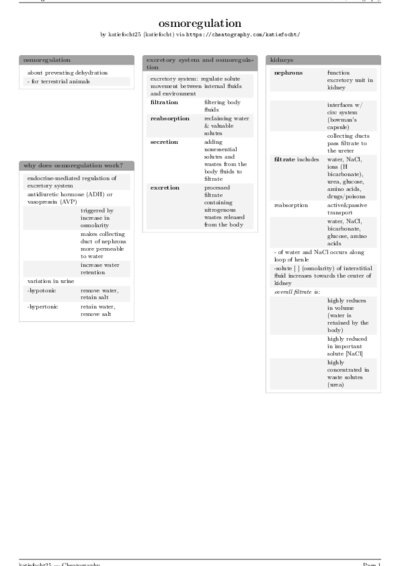 LaTeX (Compiled PDF)