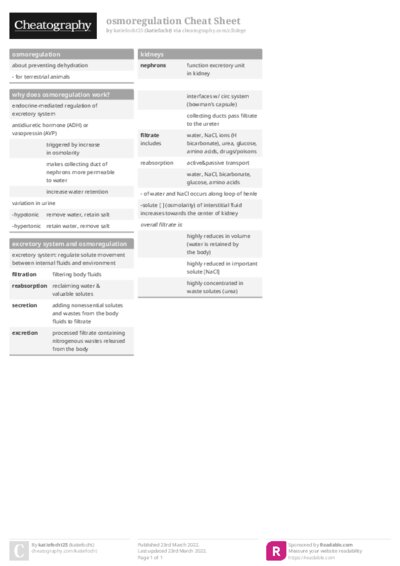 PDF (Colour) — Style 1