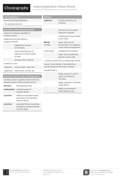 PDF (Black & white) — Style 1