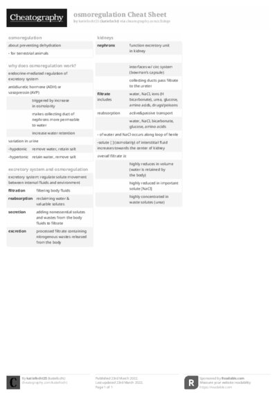 PDF (Black & white) — Style 2