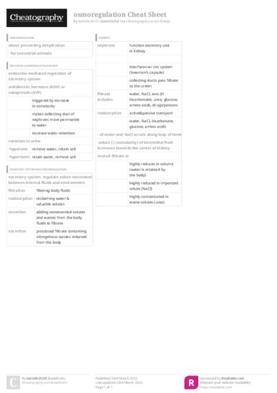 PDF (Colour) — Style 3