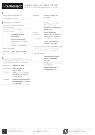 PDF (Black & white) — Style 3