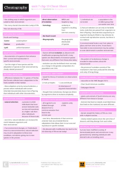 PDF (Colour) — Style 1