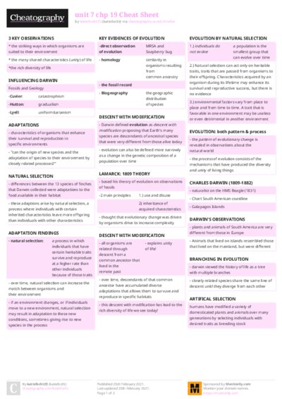 PDF (Colour) — Style 2