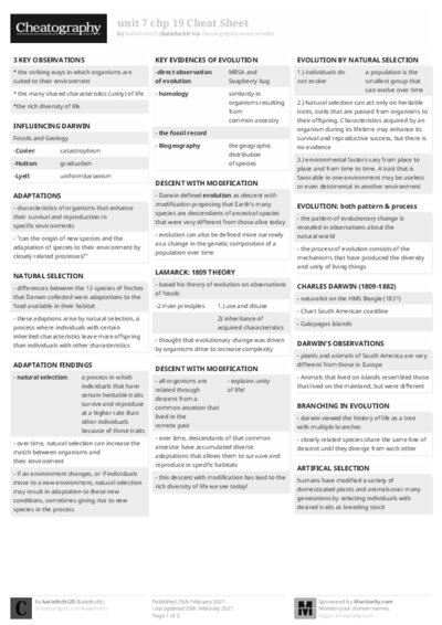PDF (Black & white) — Style 2