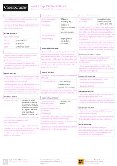 PDF (Colour) — Style 3