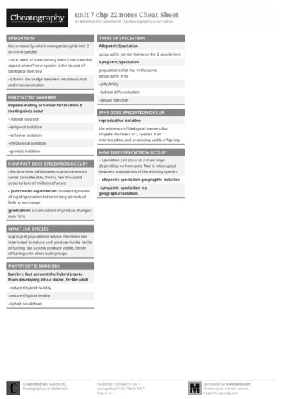 PDF (Black & white) — Style 1
