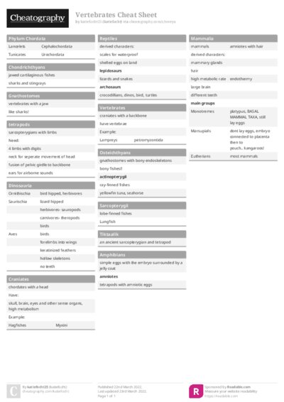 PDF (Colour) — Style 1