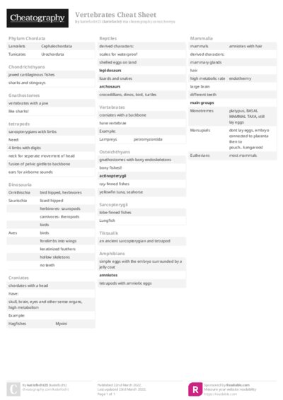 PDF (Colour) — Style 2