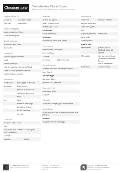 PDF (Black & white) — Style 2