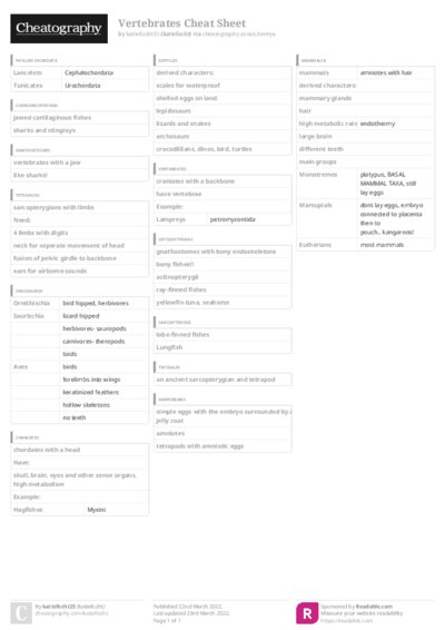 PDF (Colour) — Style 3