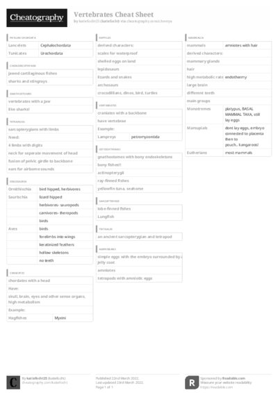 PDF (Black & white) — Style 3