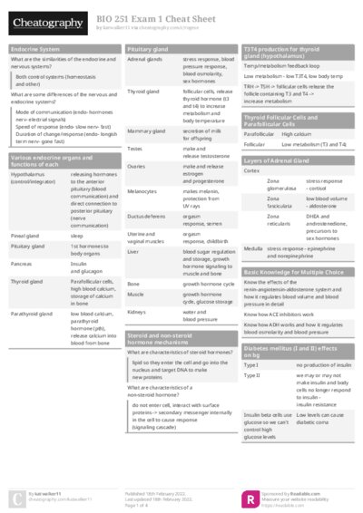 PDF (Colour) — Style 1
